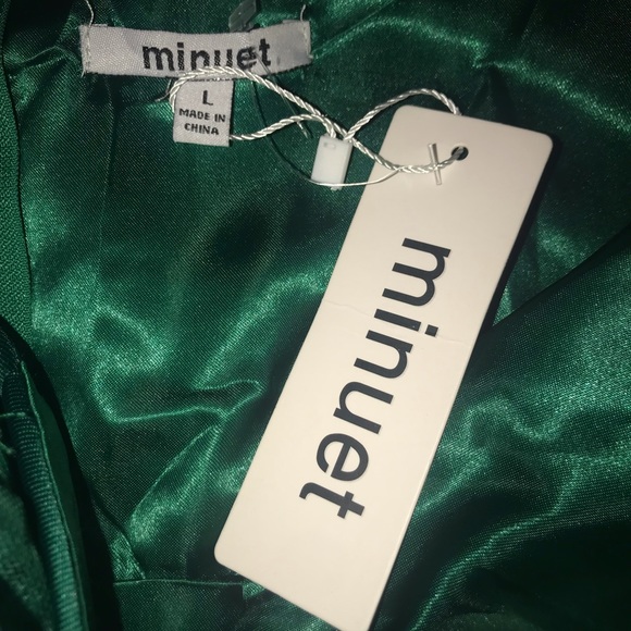 Emerald green lace bodice party dress by Minuet NWT - Picture 5 of 5